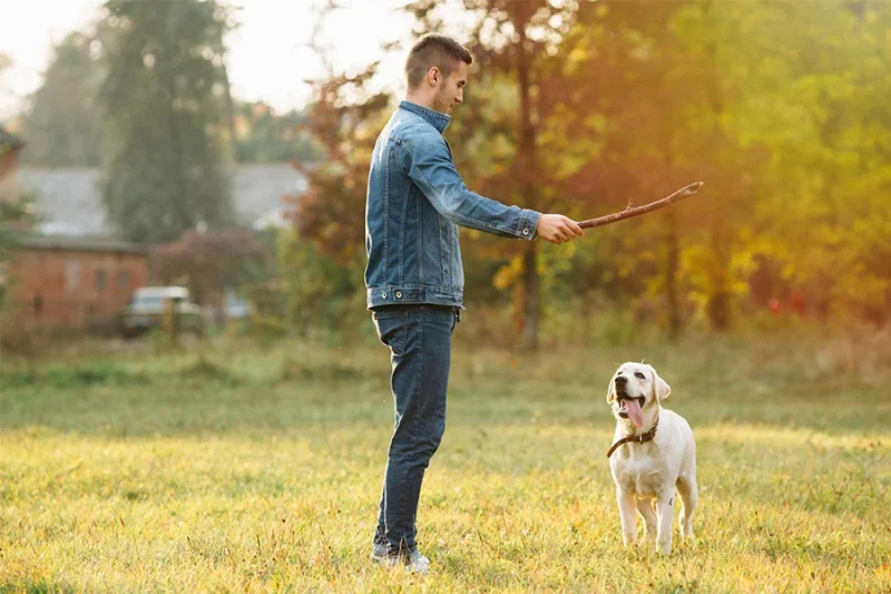 Man playing fetch with his dog concept image for developing sober habit