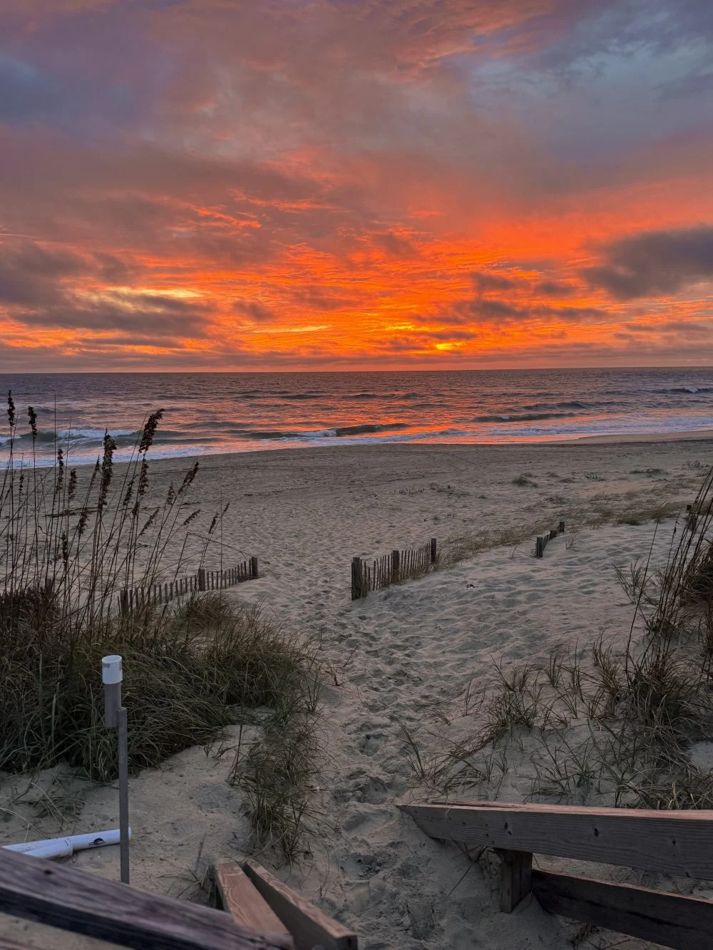 sunrise sunrise e1761074354882